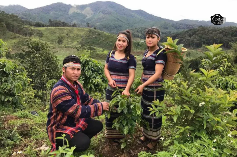 CÀ PHÊ HẠT ARABICA HỮU CƠ ORGANIC (Hữu cơ đã được kiểm nghiệm)